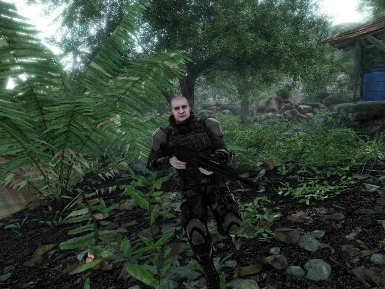 Crysis maniac mod steam фото 43