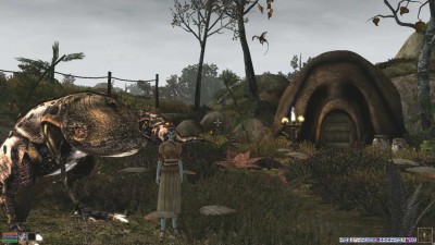 второй скриншот из Morrowind: Symphony THE