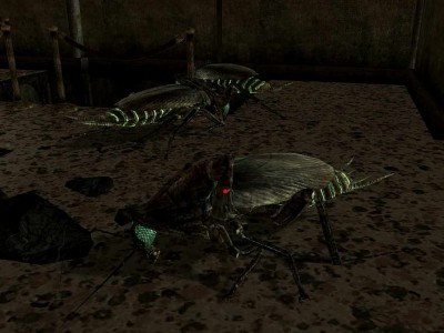 первый скриншот из Fallout: New Vegas - EVE-900 v8.0