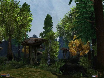 четвертый скриншот из Morrowind: Goty Extreme Graphics