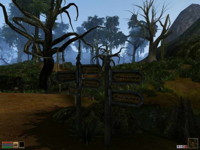 первый скриншот из Morrowind: Goty Extreme Graphics