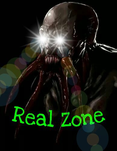 S.T.A.L.K.E.R - "Real Zone"