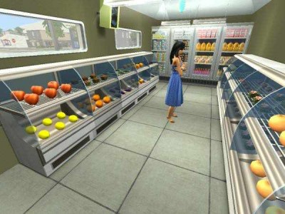 второй скриншот из The Sims 2: Рынки