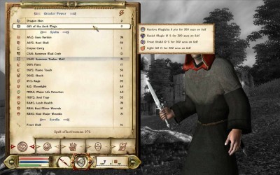 второй скриншот из The Elder Scrolls IV: Oblivion - UI Compilation