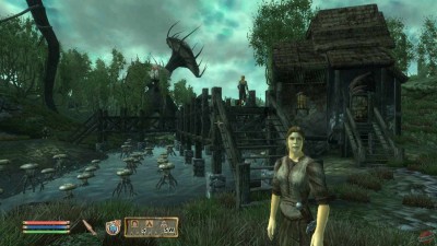 четвертый скриншот из The Elder Scrolls IV: Oblivion - Сборник плагинов Must Have