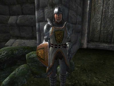 первый скриншот из The Elder Scrolls 4 Oblivion - новые доспехи