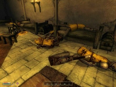 четвертый скриншот из The Elder Scrolls 4 Oblivion: Deadly Reflex