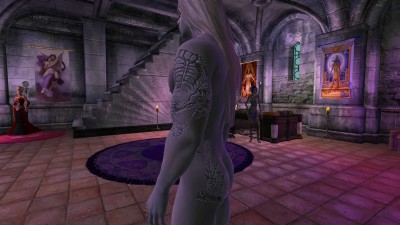 четвертый скриншот из The Elder Scrolls IV: Oblivion - Сборник модов