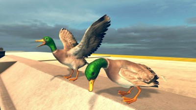 третий скриншот из Bird Simulator