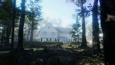 четвертый скриншот из The House in the Forest