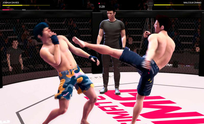 второй скриншот из Ultimate MMA