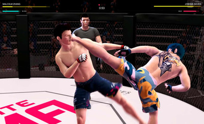 первый скриншот из Ultimate MMA