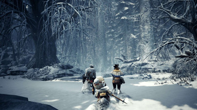 четвертый скриншот из Monster Hunter World: Iceborne