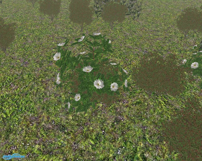 четвертый скриншот из Mushroom Picker Simulator