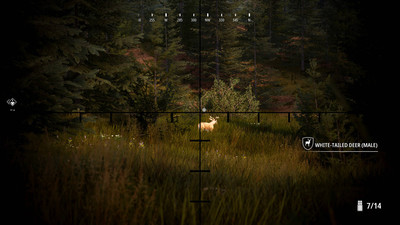 четвертый скриншот из Hunting Simulator 2: Bear Hunter Edition