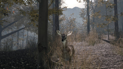 второй скриншот из Pro Deer Hunting 2