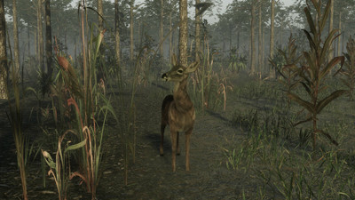четвертый скриншот из Pro Deer Hunting 2