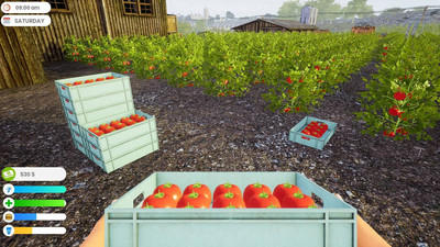 первый скриншот из Farmer Life Simulator