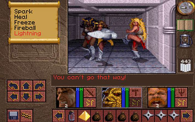 третий скриншот из Lands of Lore: The Throne of Chaos (1993)