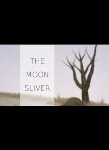 The Moon Sliver