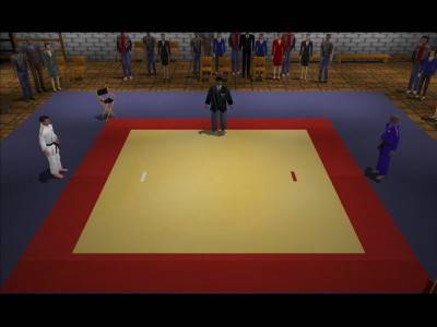 первый скриншот из 3D Judo Fighting