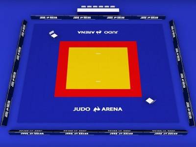 четвертый скриншот из 3D Judo Fighting