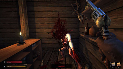 второй скриншот из Blood West