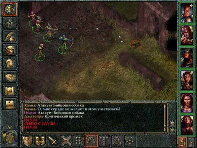 четвертый скриншот из Baldur's Gate II Paladins of Faerun