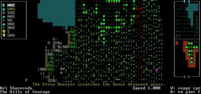 первый скриншот из Dwarf Fortress