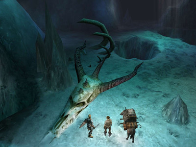 третий скриншот из Dungeon Siege + Legends of Aranna / Dungeon Siege: Легенды Аранны