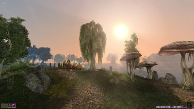 второй скриншот из Morrowind Overhaul