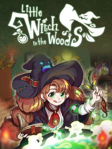 Обложка Little Witch in the Woods