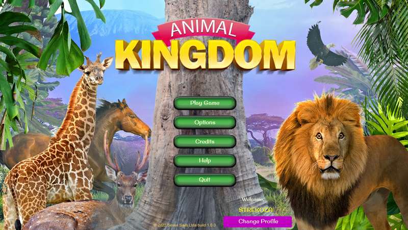 Обложка Animal Kingdom