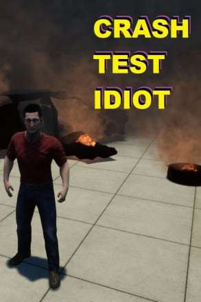 Обложка CRASH TEST IDIOT