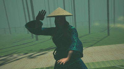 второй скриншот из Dragon Fist: VR Kung Fu