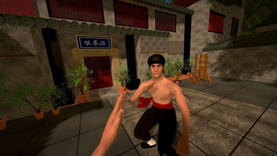 третий скриншот из Dragon Fist: VR Kung Fu