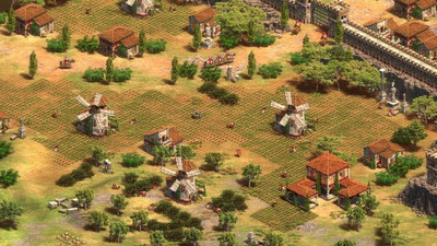 третий скриншот из Age of Empires 2: Definitive Edition