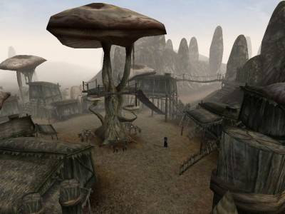 второй скриншот из The Elder Scrolls III: Morrowind Expansion