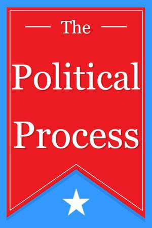 Обложка The Political Process