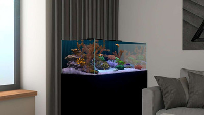 второй скриншот из Behind Glass: Aquarium Simulator
