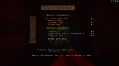 второй скриншот из Quake 1.5