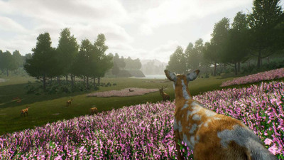 третий скриншот из Deer Journey