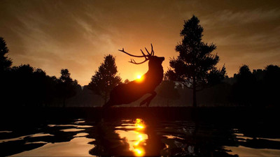 четвертый скриншот из Deer Journey