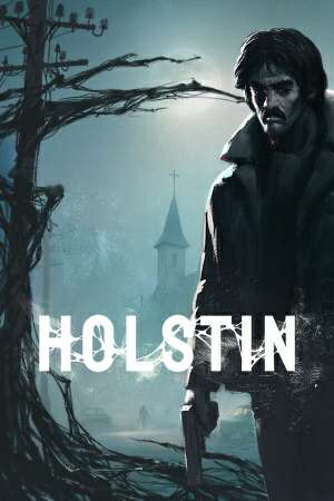 Обложка Holstin