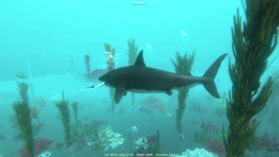 второй скриншот из Alpha Shark