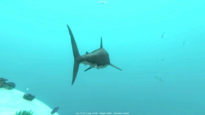 третий скриншот из Alpha Shark