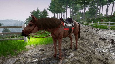 четвертый скриншот из Horse Riding Deluxe 2