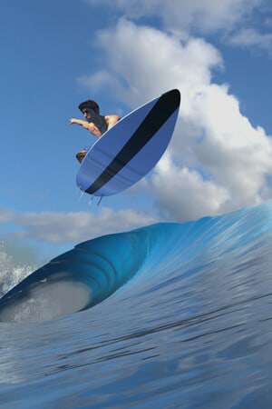 Обложка Virtual Surfing