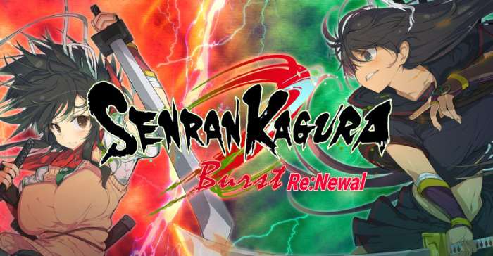 Senran Kagura Burst Re: Newal