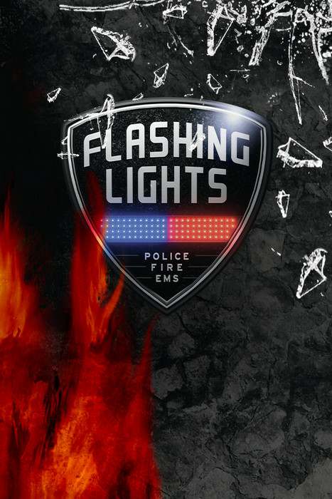 Обложка Flashing Lights - Police, Firefighting, Emergency Services Simulator / Flashing Lights - Полиция, Пожарные, Симулятор экстренных служб